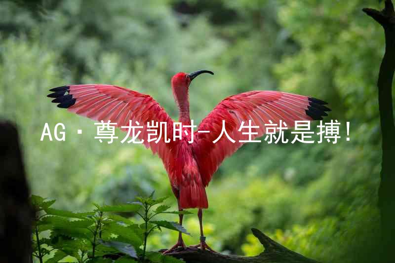 AG·尊龙凯时-人生就是搏!